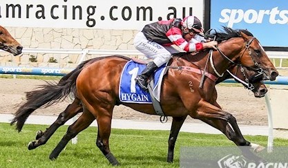 Frankel My Dear winning at Pakenham